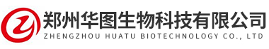 hth全站网页版